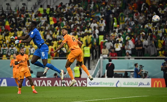 世足贾克波惊天头槌打破僵局荷兰2比0击退塞内加尔