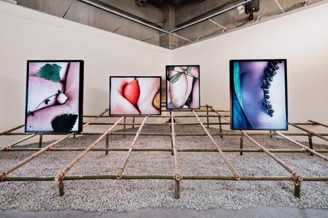 第三展区【採食】艺术家张育豪以人体肌理与野菜为结合，呼应大地与植物的关系。(图/花莲县政府提供)