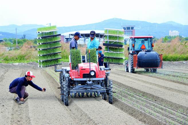 高雄农改场与恒春农会启动洋葱产业机械化计画，从日本引进移植机、筑畦机示范种植，盼藉此抢救洋葱产业，突破产业瓶颈。（谢佳潾摄）