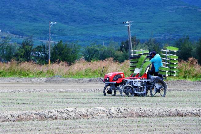高雄农改场与恒春农会启动洋葱产业机械化计画，从日本引进移植机、筑畦机示范种植，盼藉此抢救洋葱产业，突破产业瓶颈。（谢佳潾摄）