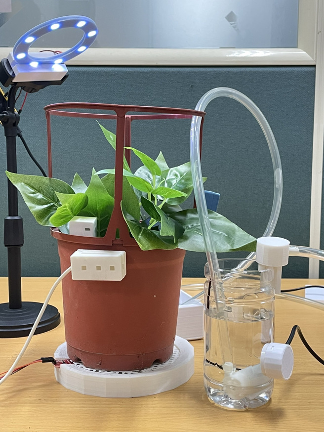 智慧植栽辅助系统让栽种者轻松以APP进行控管，能自动浇灌、自动光照，还能结合摄像头方便使用者远端了解植栽的生长状况，完全是懒人栽种法的福音。(照片/嘉南药理大学提供)