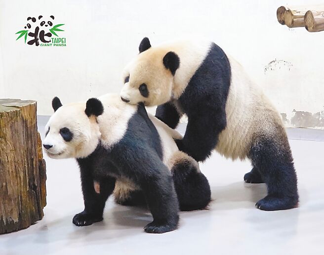 （圖／翻攝自台北市立動物園臉書）