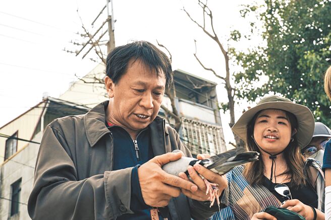 游安顺（左）在演出前需先与鸽子培养感情。（双喜提供）