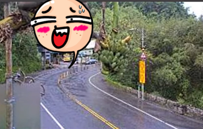 一段北宜公路路口监视器影像曝光，画面上方的香蕉树上结有一大串香蕉，一只野猴爬树大方在镜头前上演「吃播」全被拍下。（翻摄自脸书「光头骑士日记」）