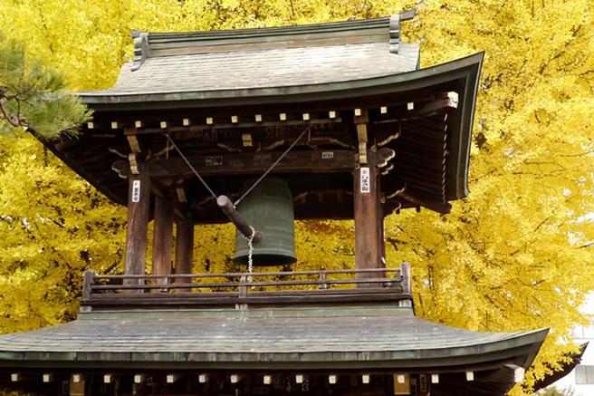 大银杏高约10层楼，境内的钟楼设施每到秋季就会出现以金黄银杏为背景的美丽景象。　图：飞騨・高山観光コンベンション协会／来源