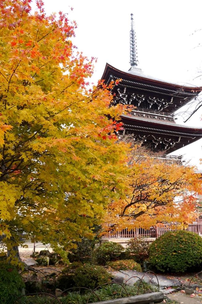 ▲境内的三重塔入列岐阜县重要文化财，秋季银杏、三重塔、红叶共舞美景如诗如画。　图：飞騨・高山観光コンベンション协会／来源