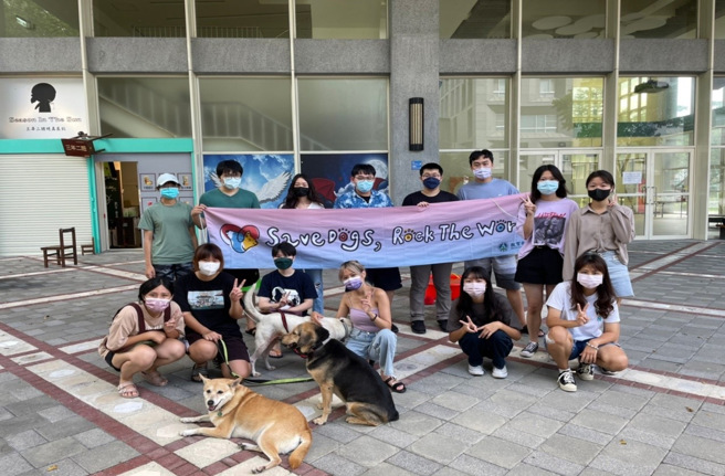 young飞全球行动计画的培训及专属业师的指导下，藉由数位交流方式吸取13个国际组织的浪浪经验，更以实际行动号召中小学生及大学生，到宜兰动物检疫所一日体验，加入浪浪清洁及动物救护等日常行动。(照片/青年署提供)

