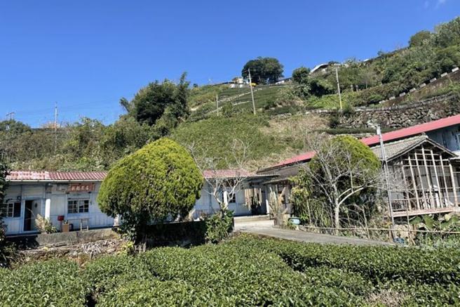 冬季茶会将在老古厝举办，感受山上人家怀旧风情。　图：阿里山国家风景区管理处／提供

