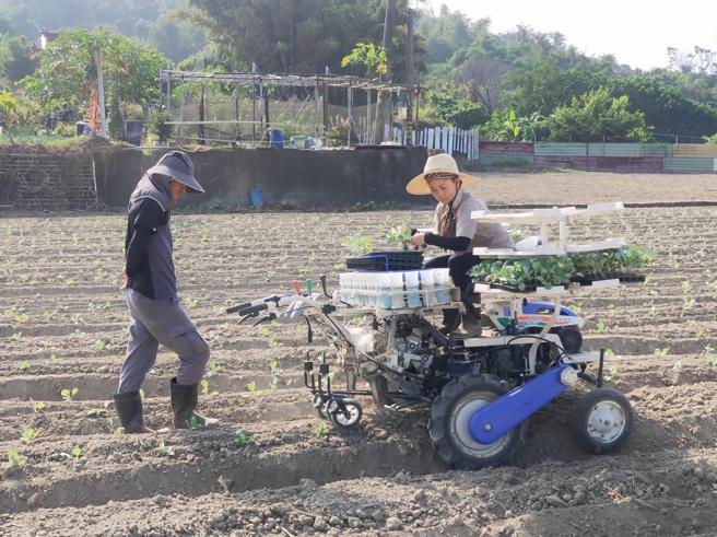 「好农无限+」目前已累积达6千名以上打工临时人力资料库、Line官方帐号好友累计8,604人。（高雄市农业局提供）