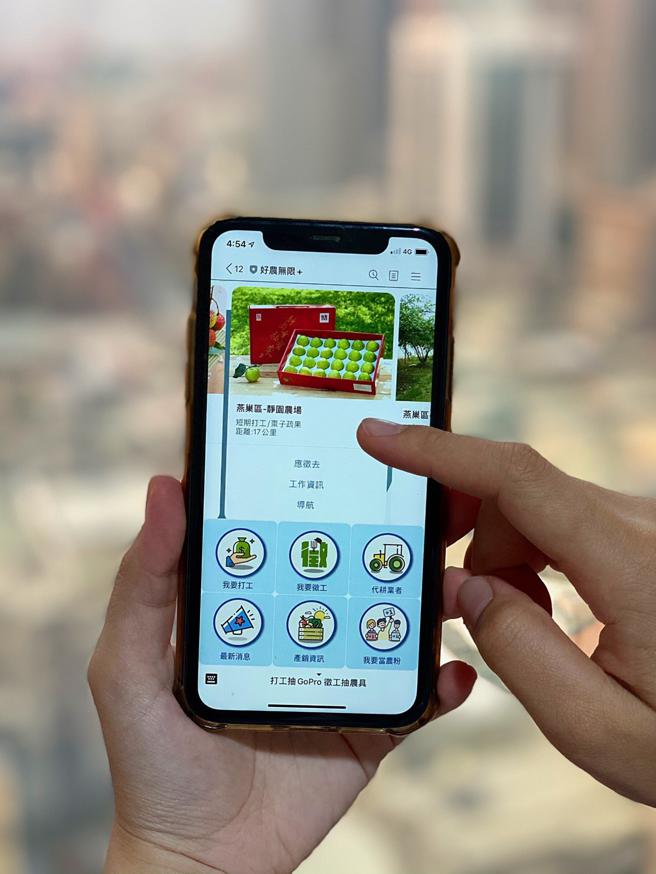 「好农无限+」即时人力需求媒合平台之官方网站并结合Line官方帐号刊登缺工资讯，提供临时农务人力媒合服务。（高雄市农业局提供）