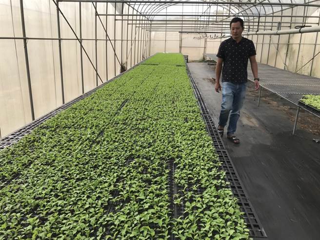 甫获百大青农肯定，金门优秀农友张斯翔本(11)月再获十大神农奖殊荣(图／金门县政府提供)