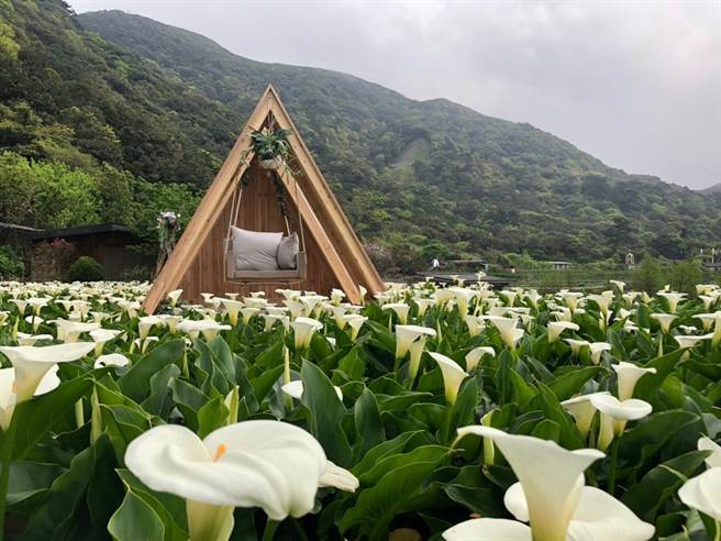 北市首创以农业旅游为主的「台北市休閒农业旅游服务中心」。图为名阳匍农园。（北市产发局提供／张芷瑜台北传真）