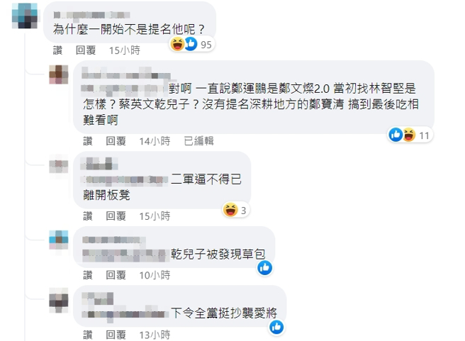 臉書網友留言。（圖／截自蔡英文臉書）