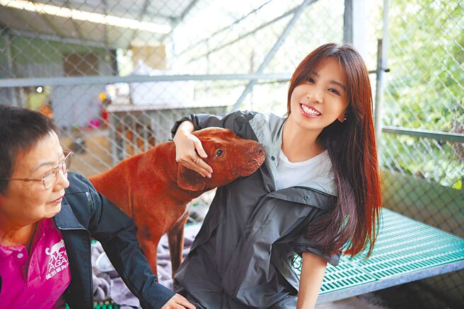 田馥甄日前到「張媽媽流浪動物之家」，開心與毛小孩玩樂。（愛最大慈善光協會提供）