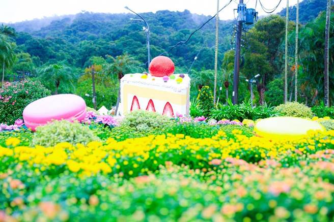 2022士林官邸菊展「菊耀20」25日盛大登场，展期一直到12月11日，为了欢庆菊展20周年，打造15个丰富展区。（台北市公园处提供／游念育台北传真）