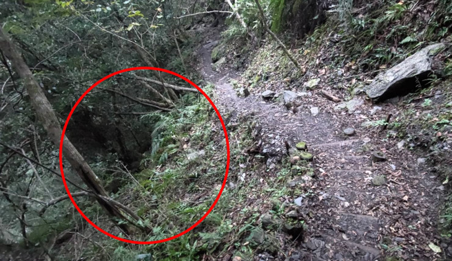 霞喀罗步道过白石吊桥的步道上发生登山客坠谷，红圈处为沈妇和丈夫郭男的坠落点。（新竹县消防局提供／罗浚滨新竹传真）