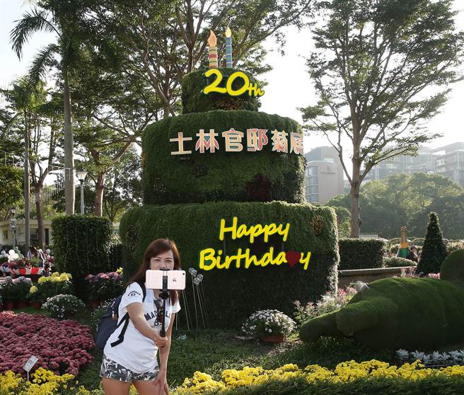 士林官邸菊展入口處以「菊躍20」為主題，以大型菊花綠雕、20字樣造型菊花生日蛋糕綠雕來迎賓，搭配色彩豐沛的多花性小菊花帶，營造出派對氣氛，歡度菊展20週年慶。（陳怡誠攝）