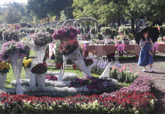 士林官邸菊展的「花園派對」展區，從色彩繽紛的菊花冰淇淋、杯子蛋糕造型菊，讓民眾走入展區驚嘆展出作品帶來療癒的力量。（陳怡誠攝）