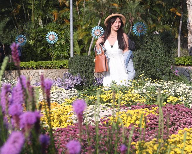 士林官邸菊展展出的21萬盆菊花佈滿士林官邸公園每個角落，28日適逢天氣放晴吸引民眾前來遊園，民眾則擺POSE留下美麗的瞬間。（陳怡誠攝）