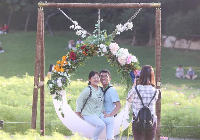 士林官邸菊展中「擁抱大波斯」展區，限定的大波斯花海，民眾愉悅坐在盪鞦韆中除拍照當網美外，並可享受專屬秋冬季限定花海的溫暖。（陳怡誠攝）