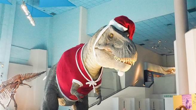 科博館暴龍首度穿上耶誕親子裝亮相。（科博館提供／陳淑芬台中傳真）