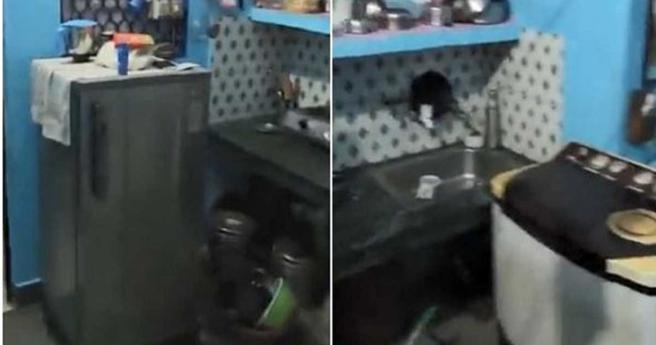 达斯的遗体被放入冰箱冰存。（图／翻摄自推特）