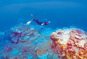 聯合國專家報告 提議大堡礁列為瀕危世界遺產
