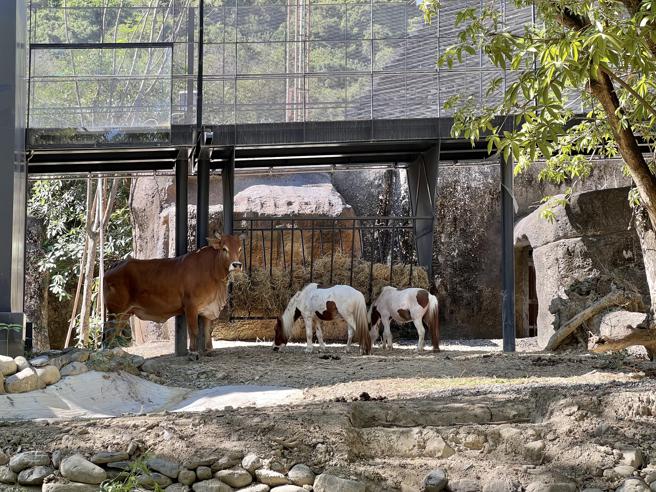 動物混養共生(高雄市觀光局提供)