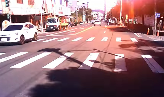 女骑士行经校园旁道路时，头上的大王椰子树枯叶掉落，却砸断电缆线，她经过时眼前突闪红光吓翻。（翻摄自脸书南投人聊天室）