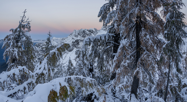 邱彦龙点名5生肖包括，生肖狗、生肖龙、生肖鸡、生肖蛇、生肖兔在大雪这段期间将有发大财的机会。（示意图／Shutterstock）