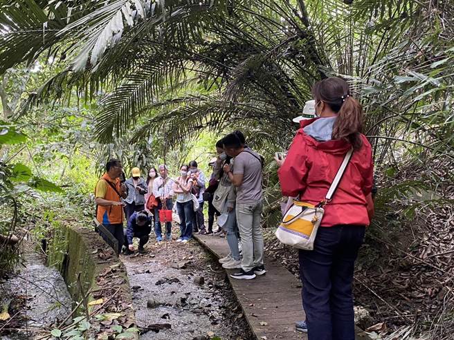 台东林区管理处安排走访在地的池上富兴社区和获得国家颁发「金牌农村」认证的永安社区实地交流。（蔡旻妤摄）