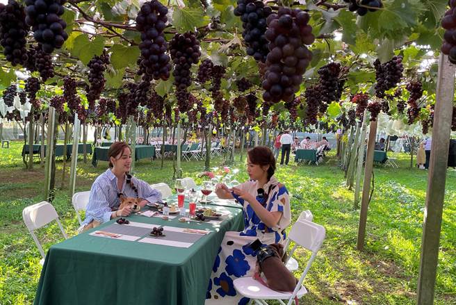 Sandy（左）与欧阳妮妮带狗狗一起品嚐美食。（TVBS提供）