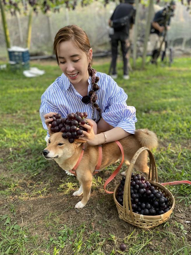 欧阳妮妮带爱犬Hachu上节目。(TVBS提供）