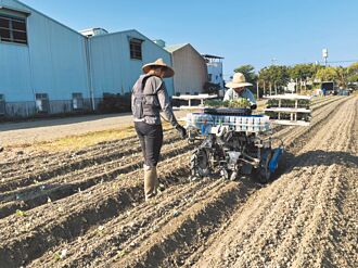 高市府開發媒合平台 結合科技提升農務效率