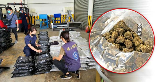 保三总队藉大数据分析海运舱单，发现某机上盒业者进了整货柜宠物鼠专用木料土，一查之下起出夹藏的456公斤大麻花。（图／警政署保三总队提供）