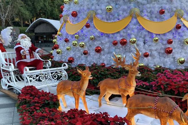 12/1～2023/1/2畅游九族文化村，感受缤纷《欢乐圣诞月》活动。　图：九族文化村／提供 