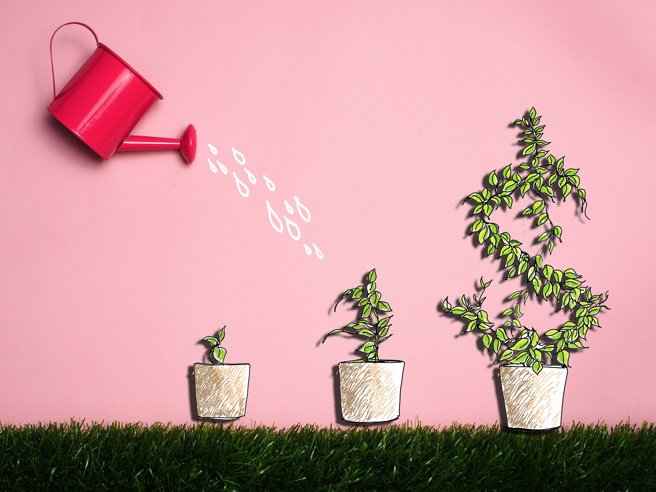 （图／小花平台提供）