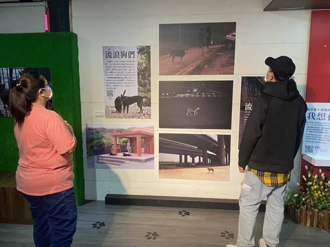 新北市動保處與台灣動物平權促進會合作舉辦「抵枷-抵家給牠一個真正的家」展覽。（動保處提供）