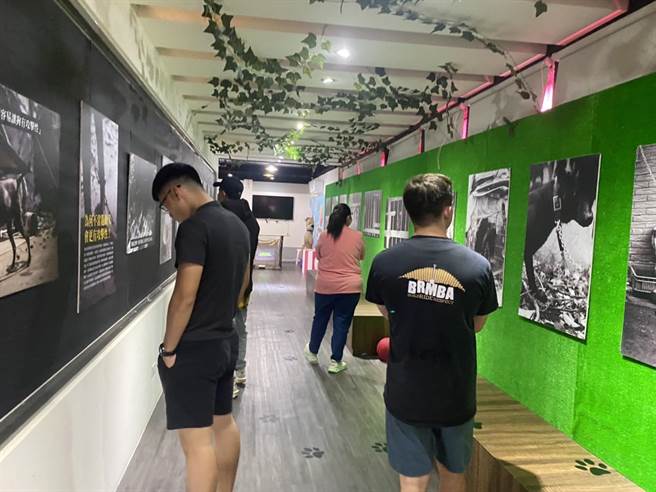 新北市動保處與台灣動物平權促進會合作舉辦「抵枷-抵家給牠一個真正的家」展覽。（動保處提供）