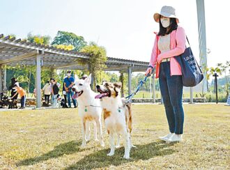 嘉市首座寵物公園明年3月完工