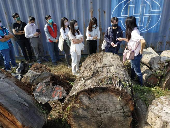 屏東林管處人員說明漂流木特徵。(屏東林管處提供)