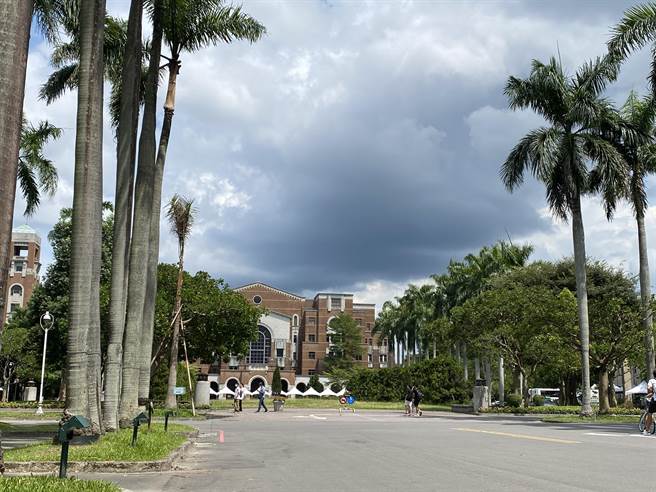 学者吁大学自行「清理门户」，以杜绝「政学交相贼」的乱象。（林志成摄）