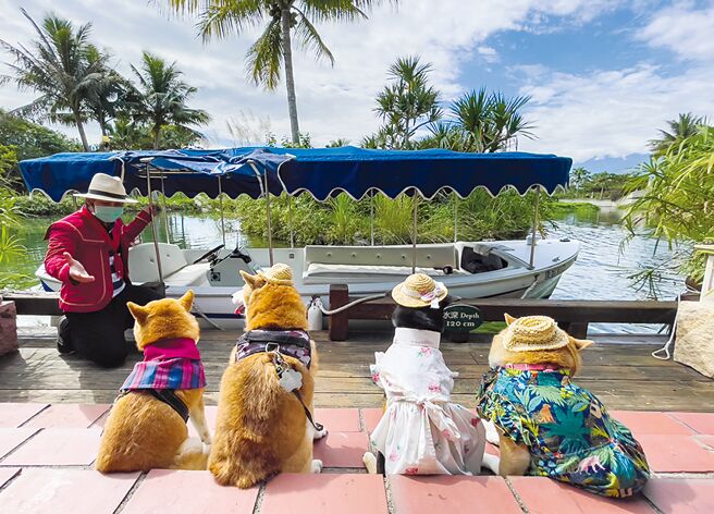 理想大地宠物友善旅馆设置专属毛孩专船服务，让主人和毛孩一起共享，让美好的出游回忆中也有毛孩紧紧相伴。图／理想大地提供