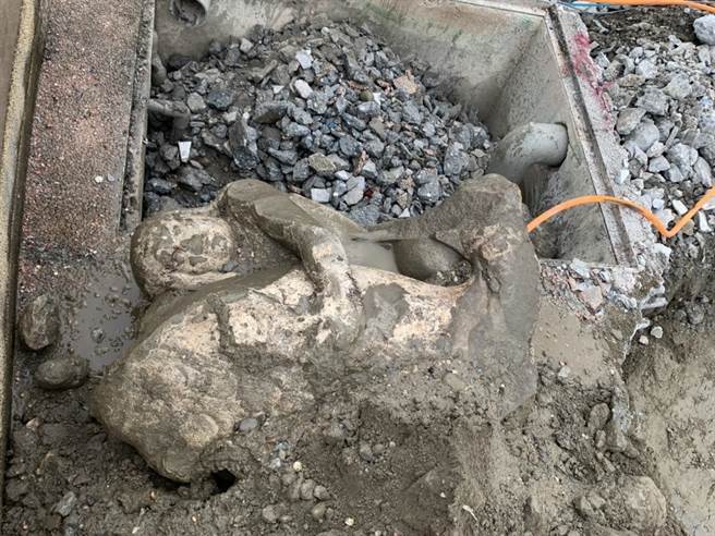 花莲市知名地标石来运转喷泉广场进行基座清洗修补工程期间，竟在投票前两天挖出一座日据时期的「金太郎抱鲤鱼」石像，迄今已逾80年歷史，让公所团队及文史工作者相当兴奋。（文史工作者黄家荣提供／罗亦晽花莲传真）