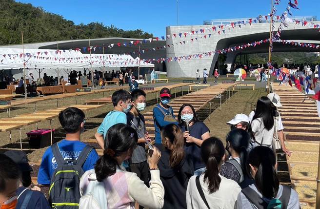 遊客透過導覽課程，發現曬豆場上的咖啡豆，透過後製技術而產生不同的風味。（楊靜茹攝）