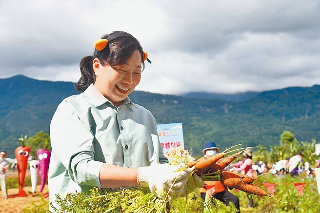 花蓮縣政府與農會、企業在壽豐鄉16公頃的農地，辦理胡蘿蔔契作模式，4日正式開園，縣長徐榛蔚特地與民眾一同享受拔蘿蔔的快感，盼能替地方農產業文化開啟新猷。（花蓮縣政府提供／羅亦晽花蓮傳真）