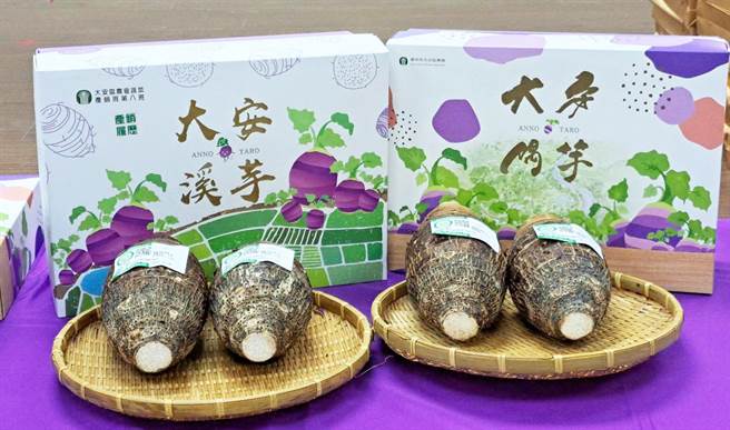大安农会建立「大安溪芋头」标章品牌行销通路，提高在地芋农栽培所得。（陈世宗摄）