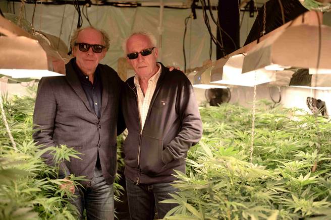 当地警方力挺达顿兄弟，拍片种大麻省了巨额罚金。（海鹏提供）★《中时新闻网》关心您：保护自己、远离毒品！