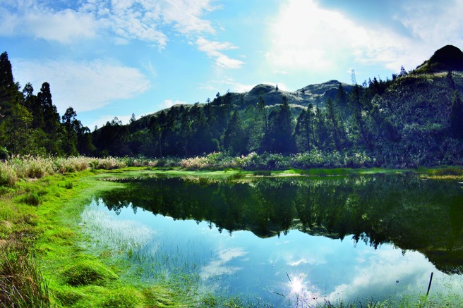 阳明山环境幽静，适合喜欢独处的人在此享受一个人的耶诞节。（图／chienmuhou）