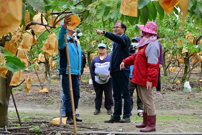 刘棹豪今天邀集农政单位，前往释迦果园会勘灾情。（刘棹豪提供）